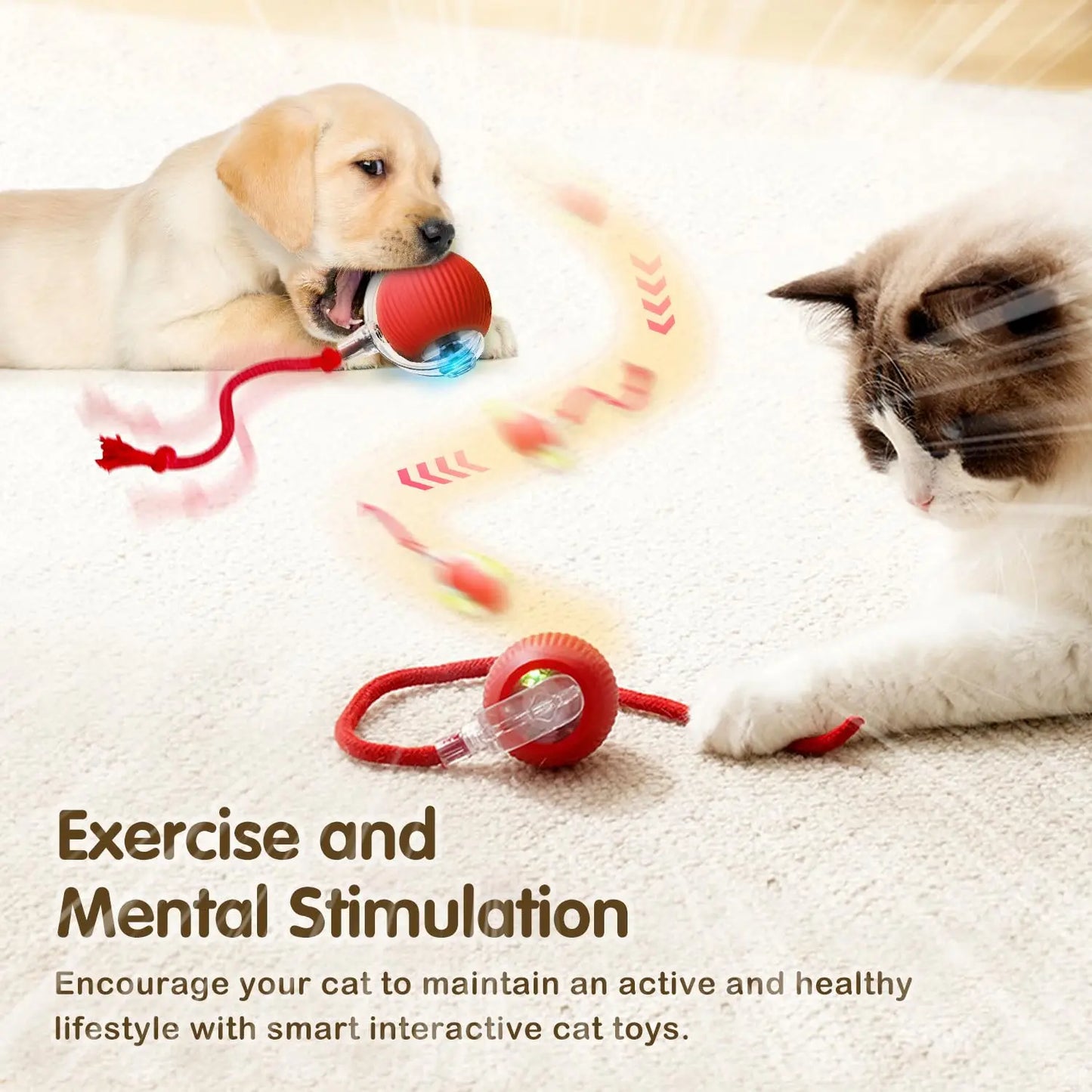 Boule interactive pour chat, jouet roulant automatique avec queue, jouet interactif Intelligent pour animaux de compagnie, souris intelligente, Super affaire