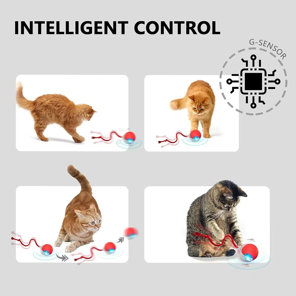 Boule interactive pour chat, jouet roulant automatique avec queue, jouet interactif Intelligent pour animaux de compagnie, souris intelligente, Super affaire