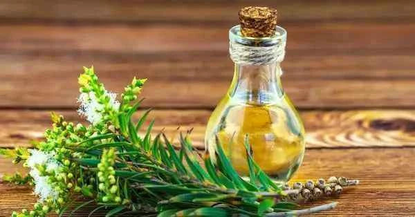 Bundle Rose Enchantée – Immersion rose glow magique