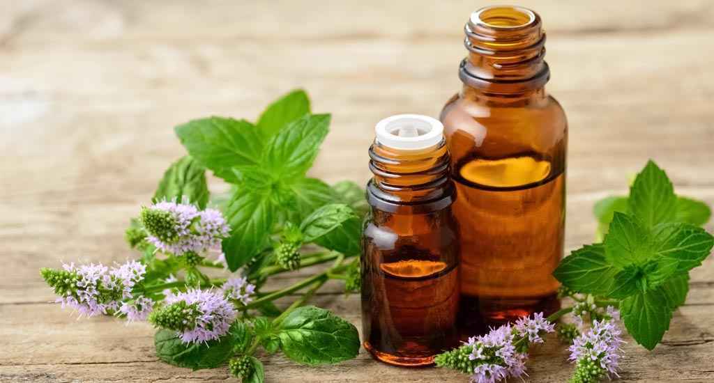 Bundle Rose Enchantée – Immersion rose glow magique